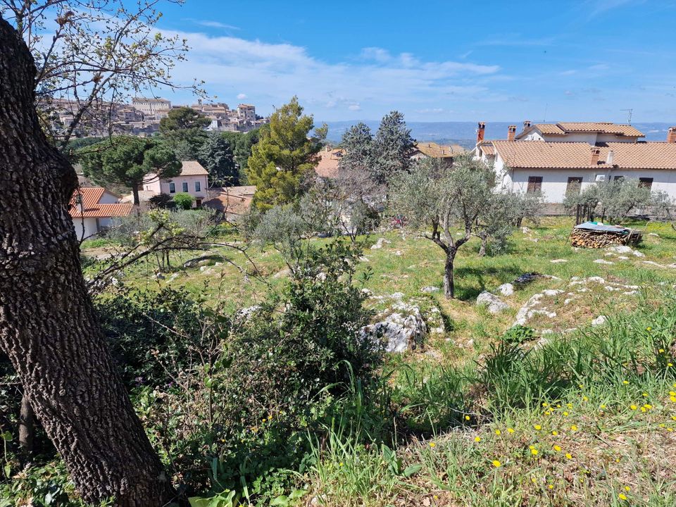 Villa i Lugnano in Teverina, Terni - foto 2
