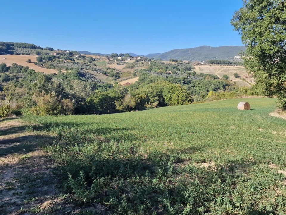 Villa i Lugnano in Teverina, Terni - bilde 1