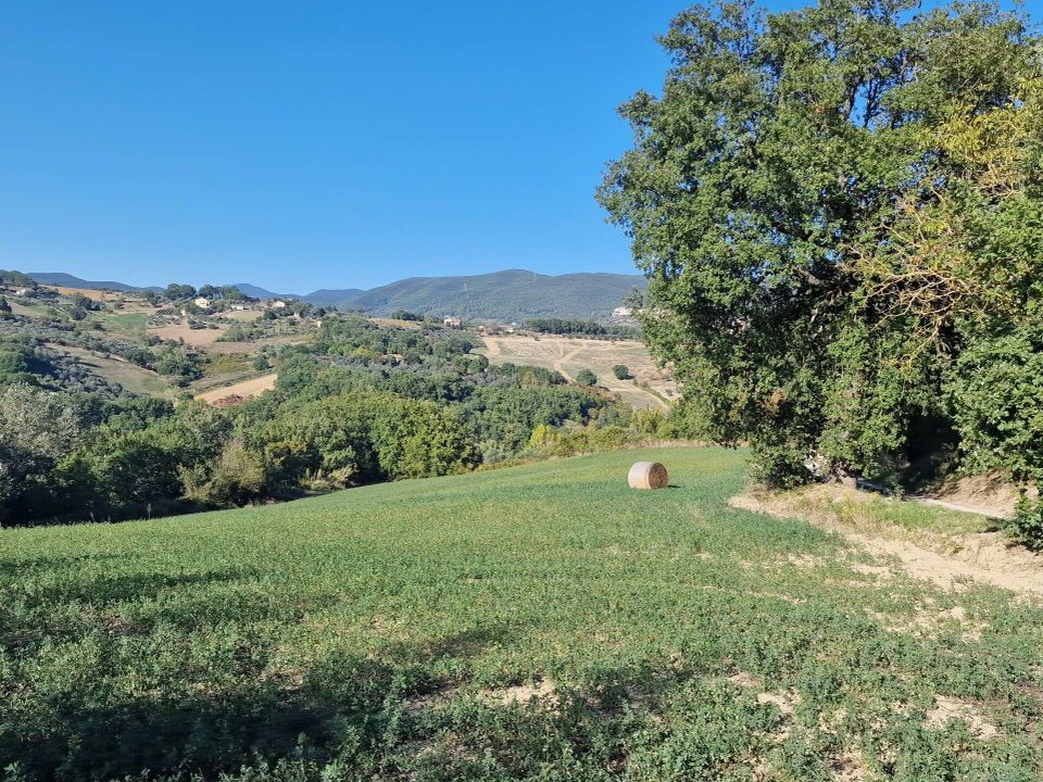 Villa i Lugnano in Teverina, Terni - bilde 2