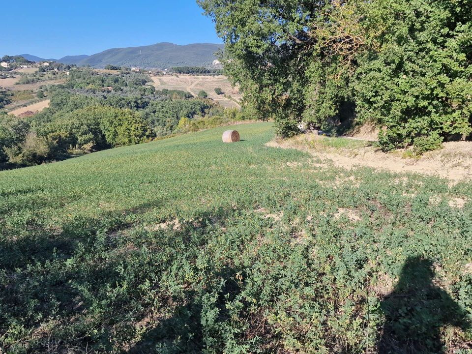Villa i Lugnano in Teverina, Terni - bilde 3