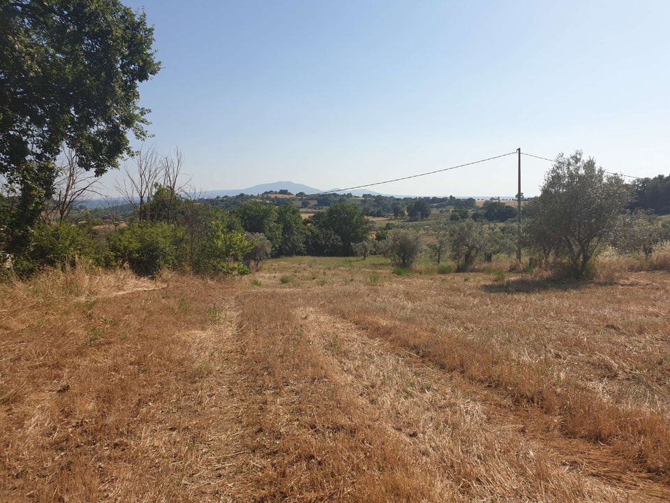 Villa i Lugnano in Teverina, Terni - foto 4
