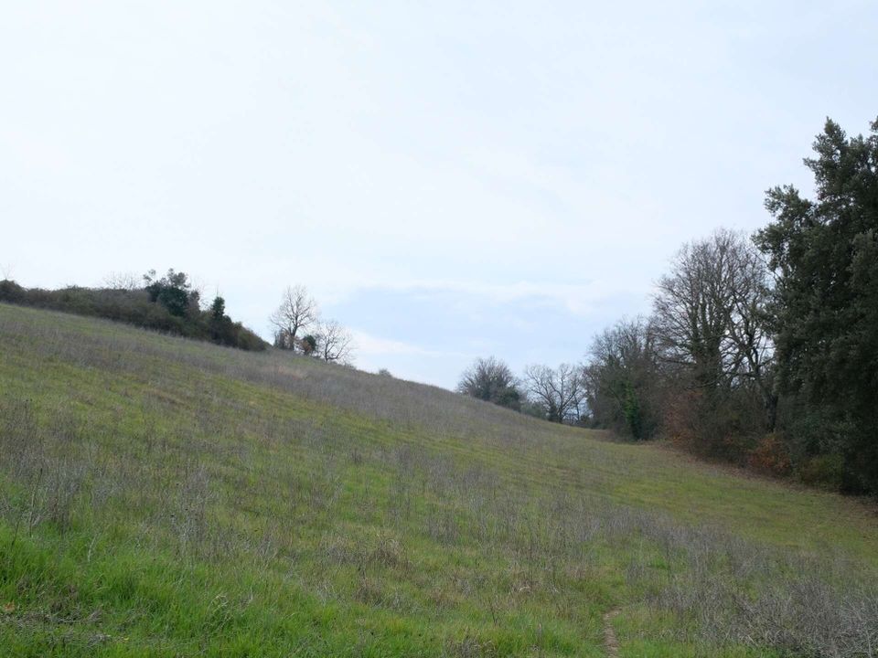 Villa i Lugnano in Teverina, Terni - foto 5