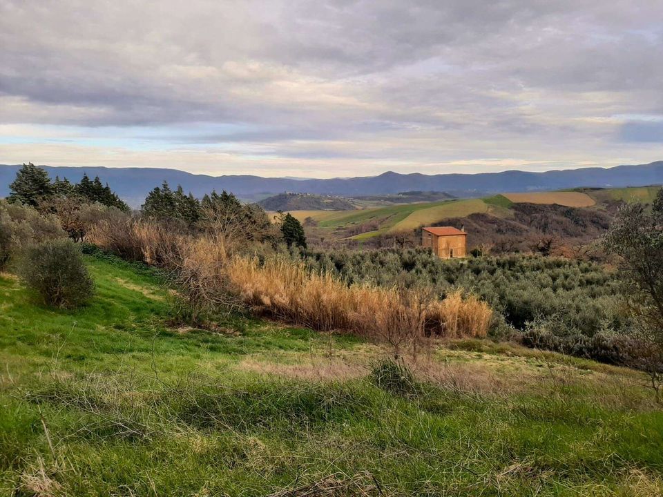 Villa i Todi, Perugia - foto 1