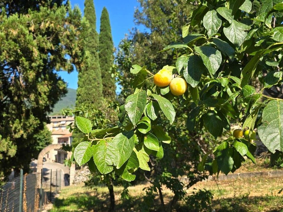 Villa i Montecchio, Terni - foto 5