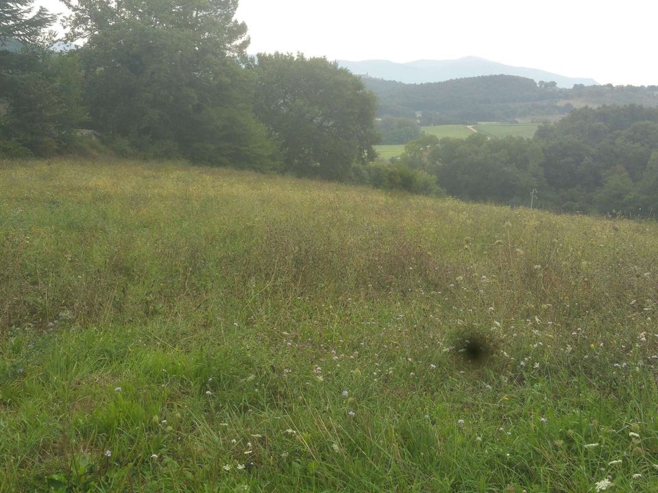 Villa i Avigliano Umbro, Terni - foto 4