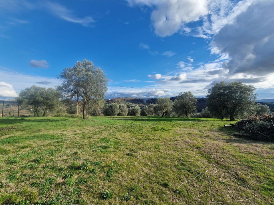 Villa in Amelia, Terni - foto 1