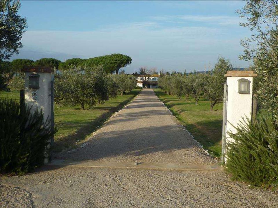 Farm hus i Castagneto Carducci, Livorno - foto 2