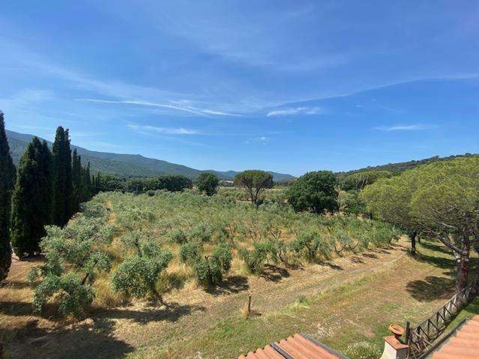 Landejendom i Scarlino, Grosseto - foto 1