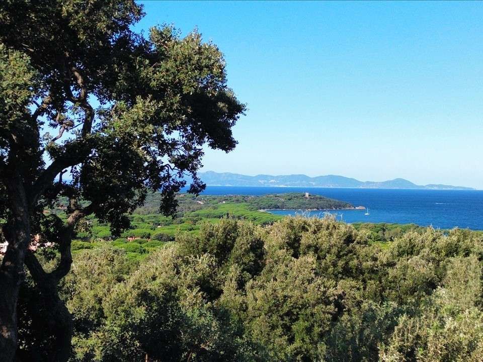 Villa i Castiglione della Pescaia, Grosseto - foto 1