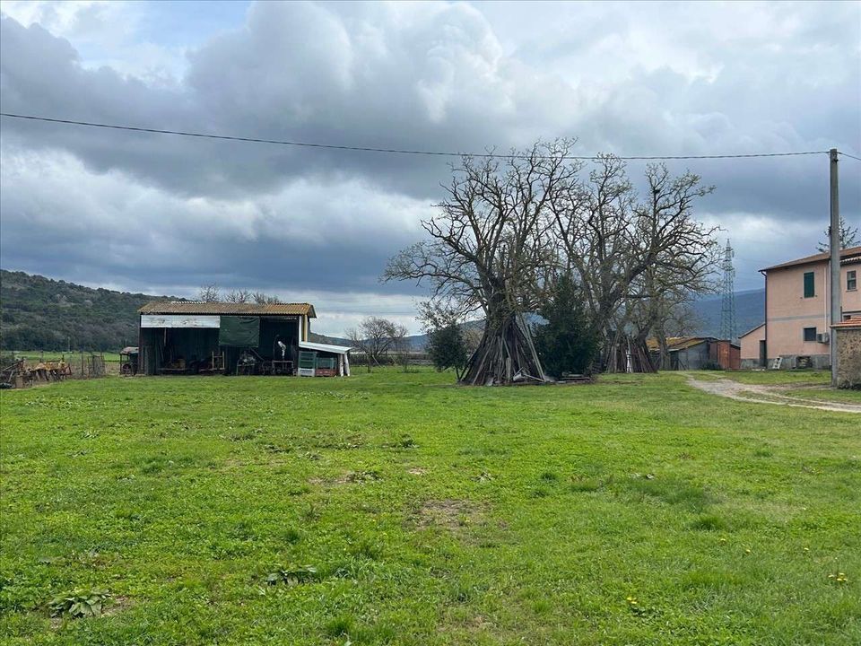 Farm hus i Scarlino, Grosseto - foto 5