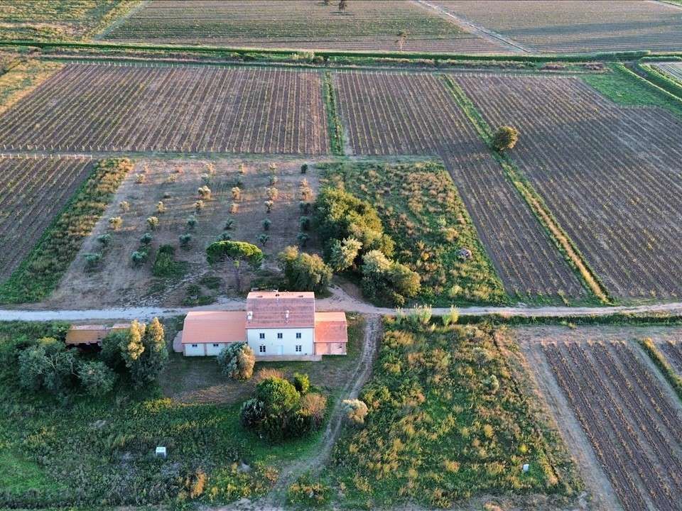 Farm hus i Scarlino, Grosseto - foto 4
