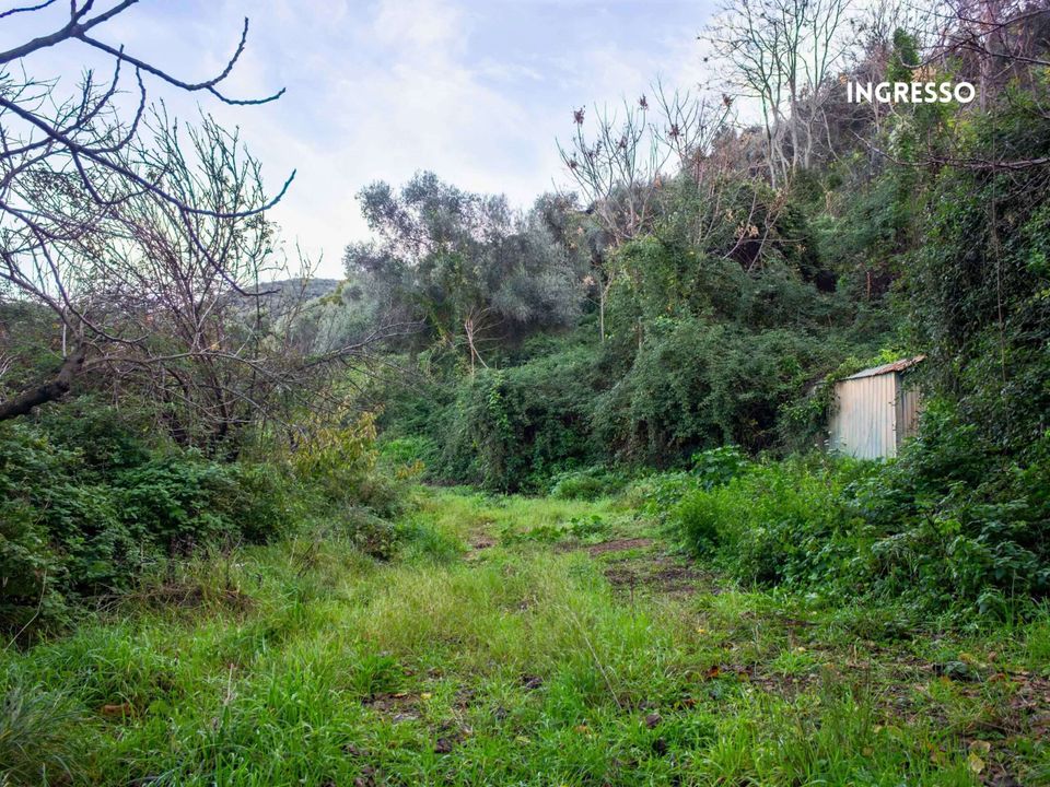 Villa i Scarlino, Grosseto - foto 3