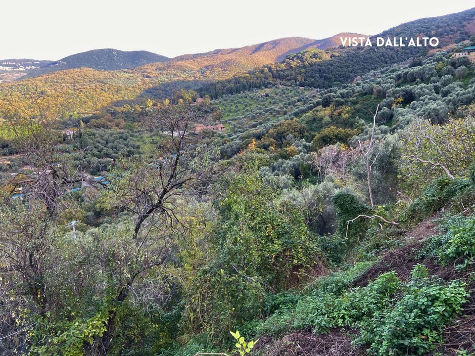 Villa i Scarlino, Grosseto - foto 4