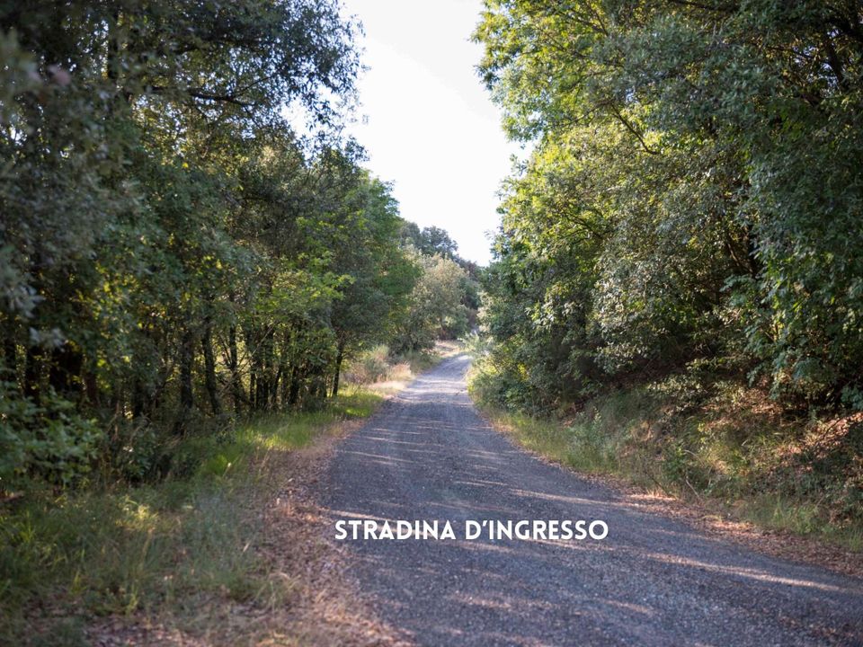 Willa: Roccatederighi, Grosseto – zdjęcie 4