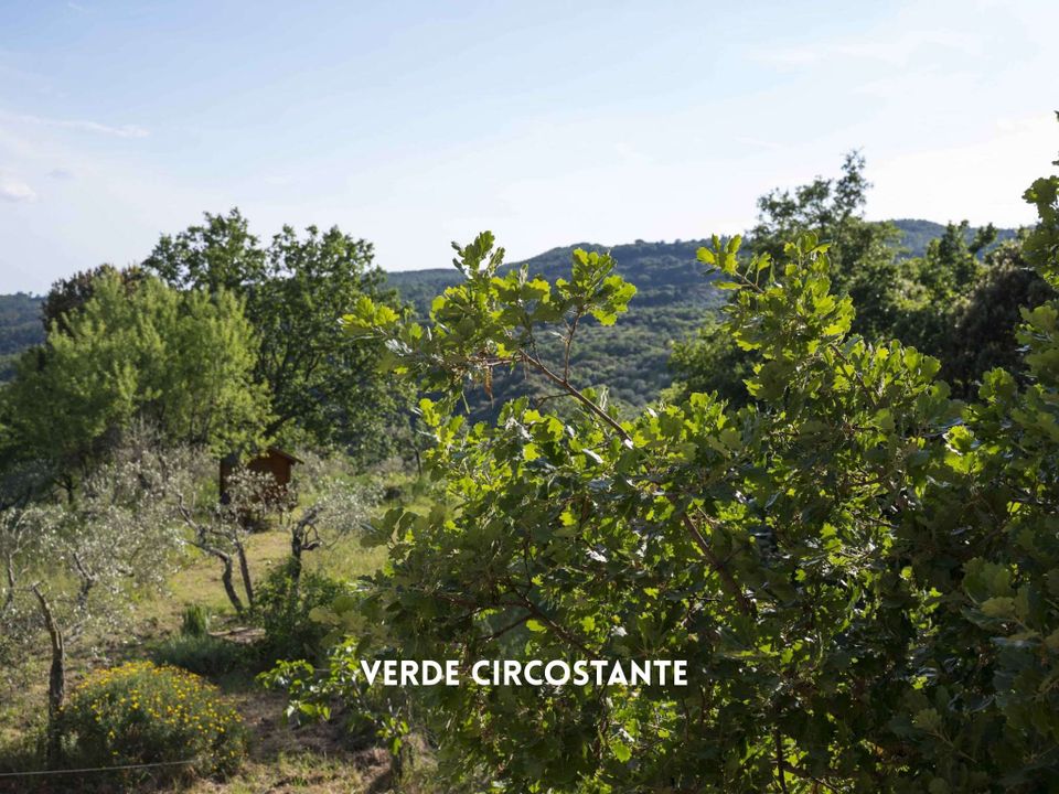 Willa: Roccatederighi, Grosseto – zdjęcie 3