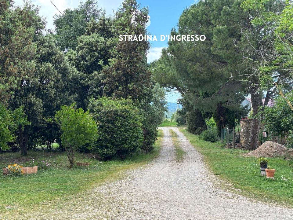 Villa i Montemassi, Grosseto - foto 1