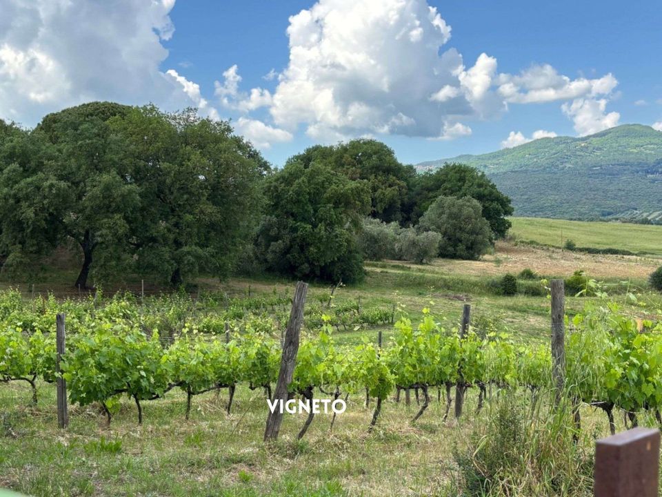 Villa i Montemassi, Grosseto - foto 2