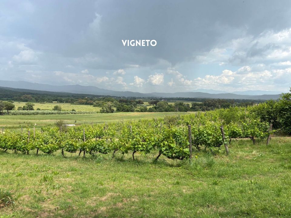 Villa i Montemassi, Grosseto - foto 3
