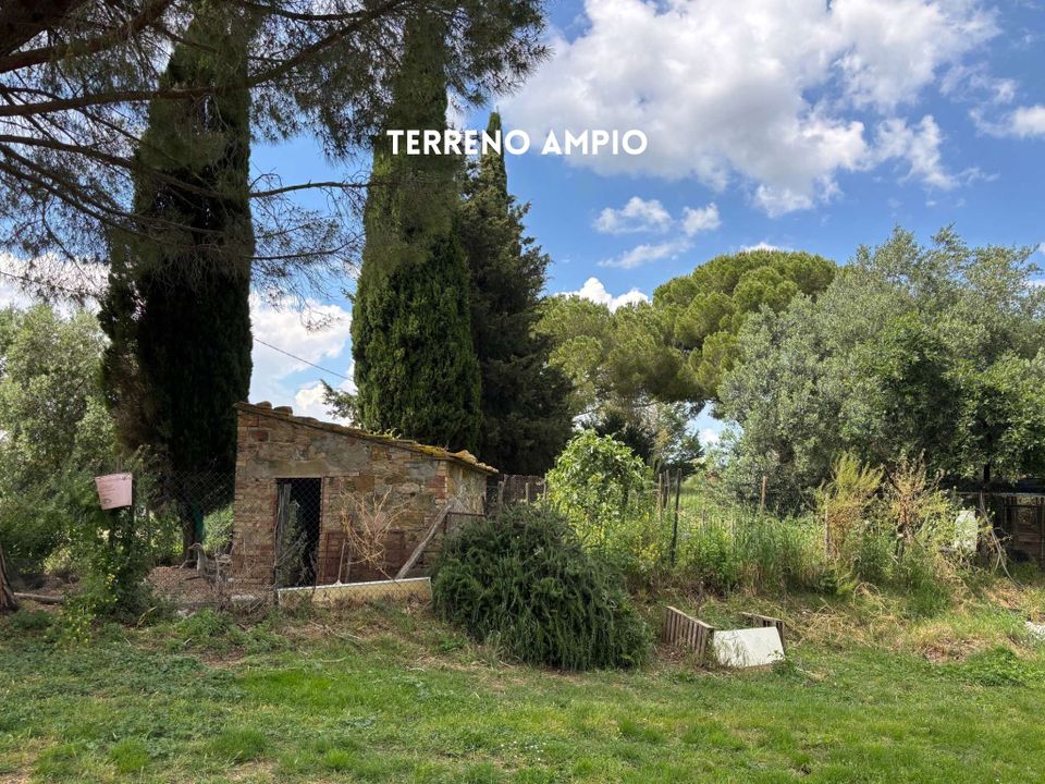 Villa i Montemassi, Grosseto - foto 4
