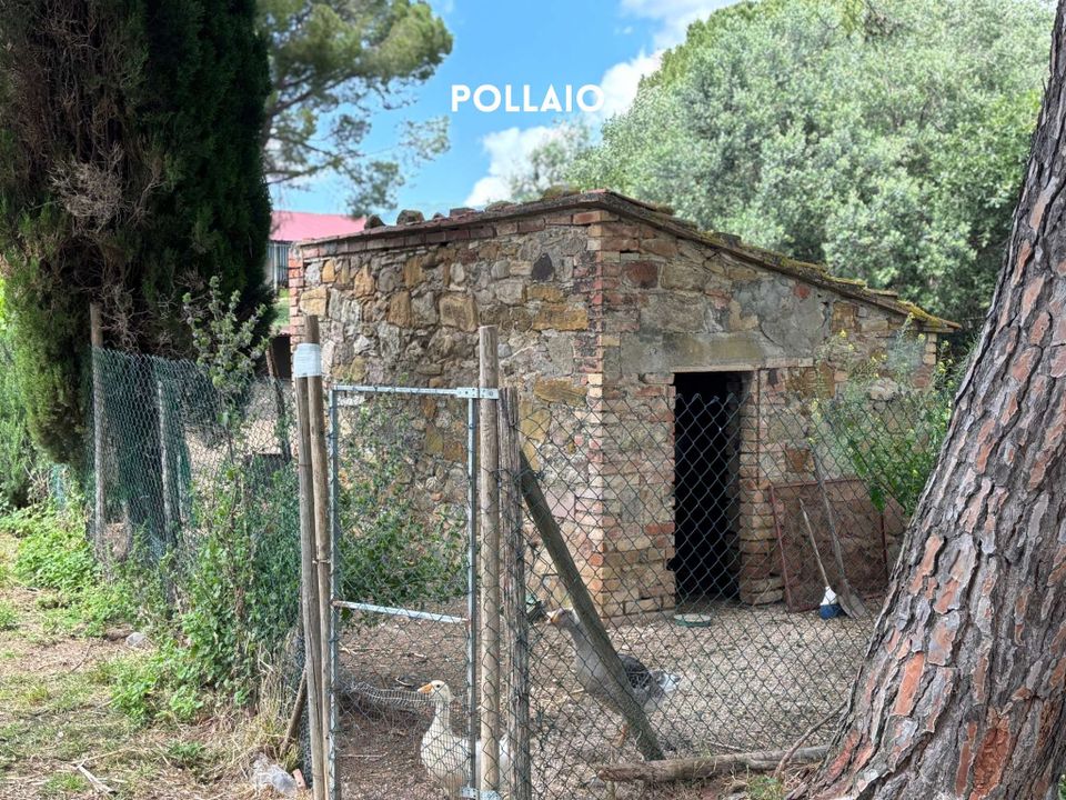 Villa i Montemassi, Grosseto - foto 5