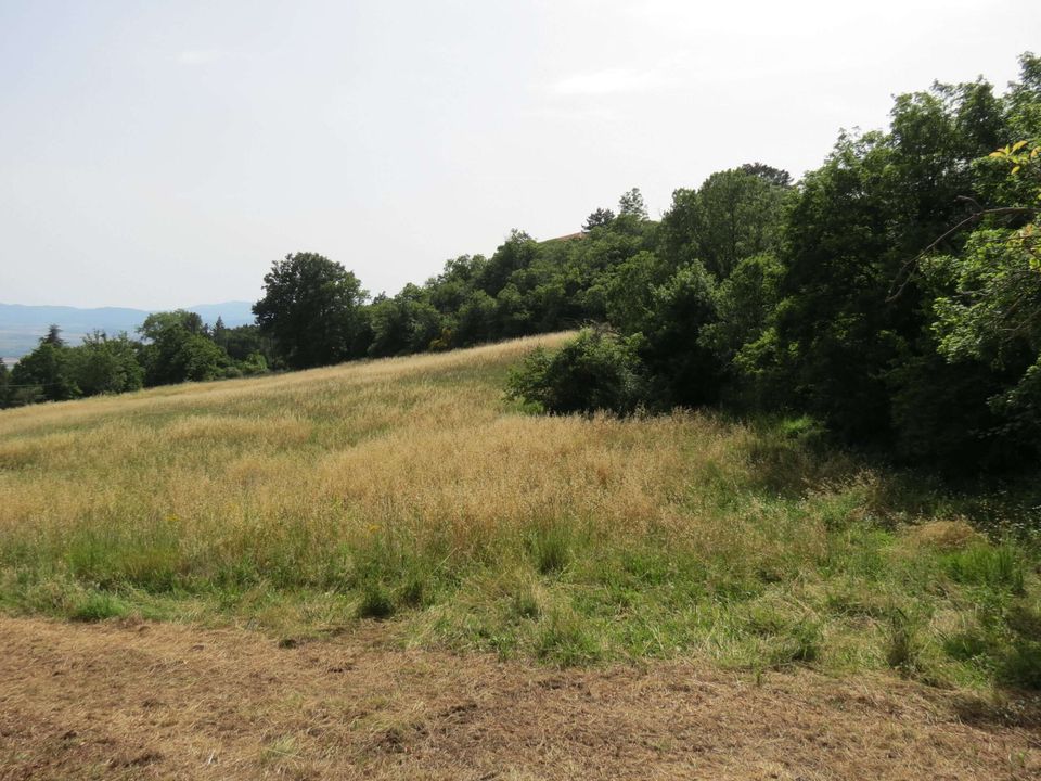 Villa i Roccastrada, Grosseto - foto 2
