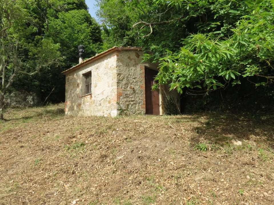 Villa i Roccastrada, Grosseto - foto 3