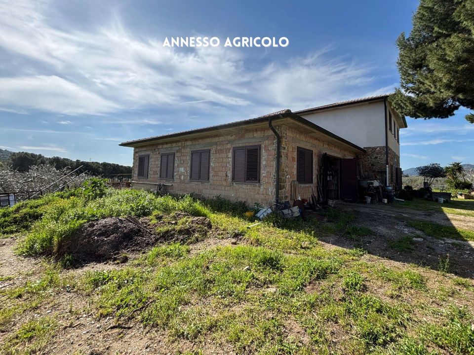 Villa i Suvereto, Livorno - foto 4