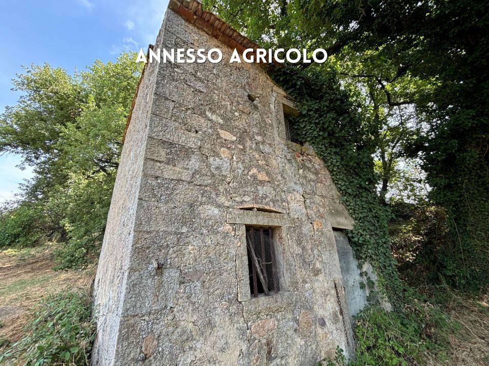 Villa i Roccastrada, Grosseto - foto 4