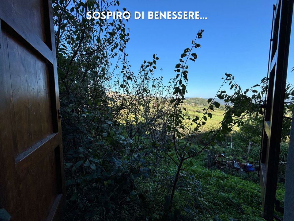 Villa i Roccastrada, Grosseto - foto 5