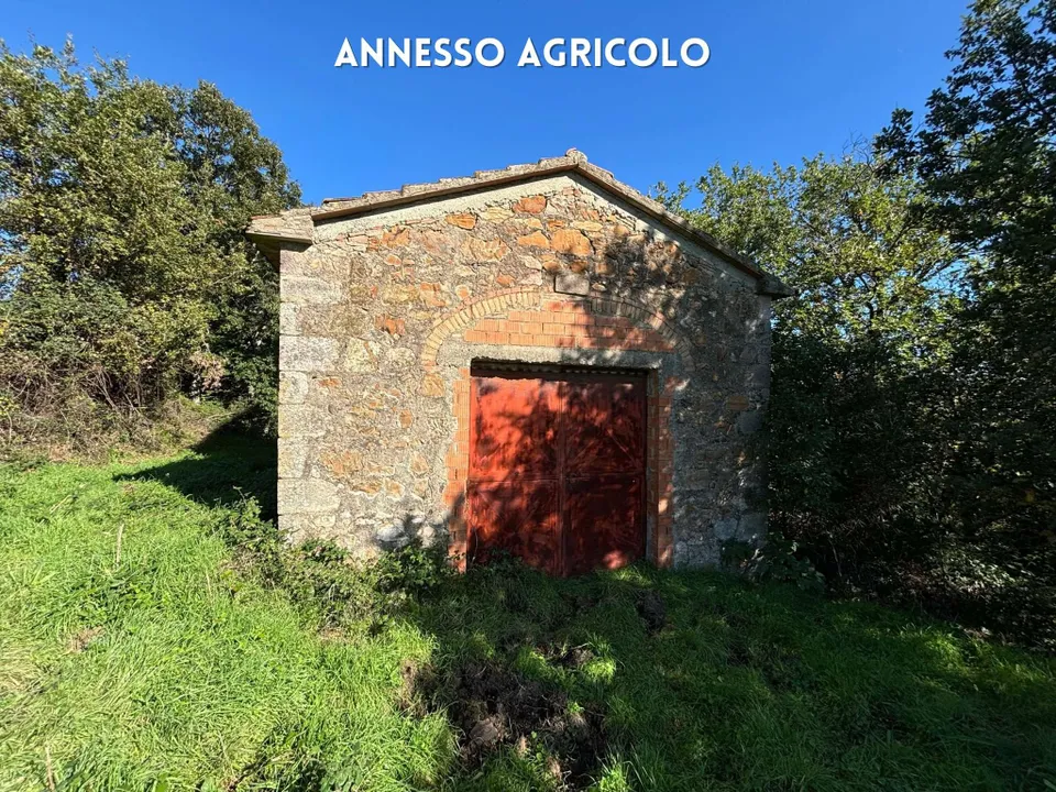 Willa: Roccatederighi, Grosseto – zdjęcie 2