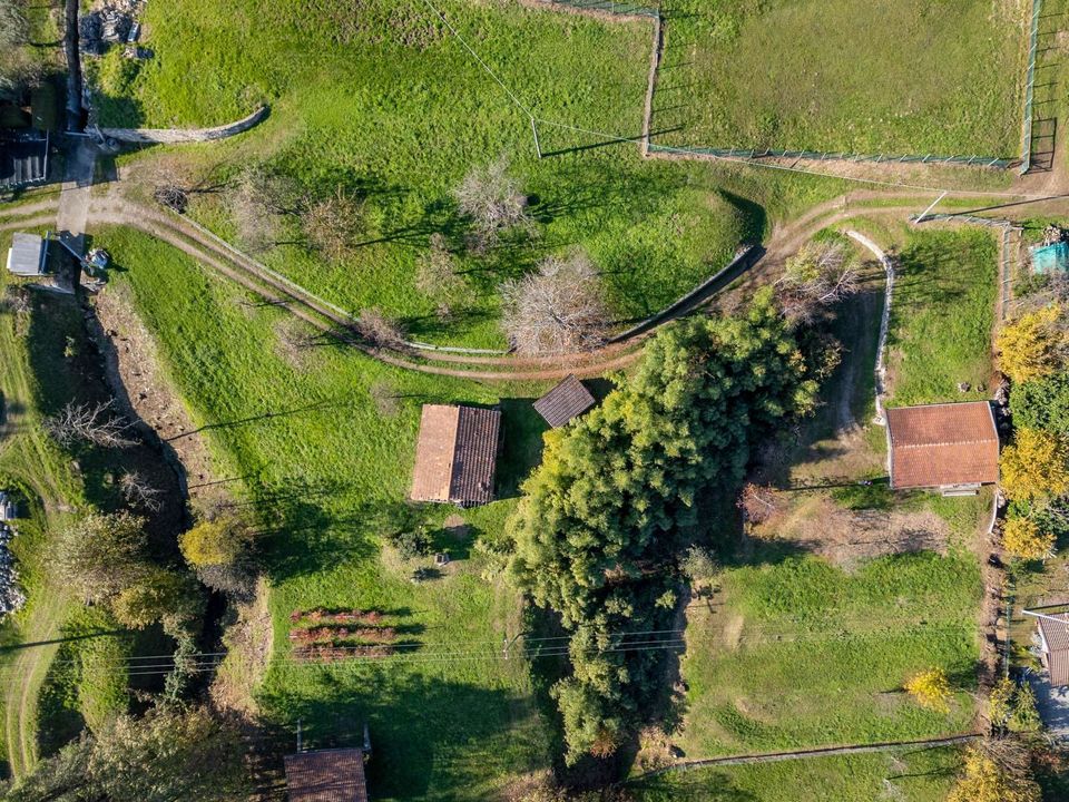 Villa i Pettenasco, Novara - foto 5
