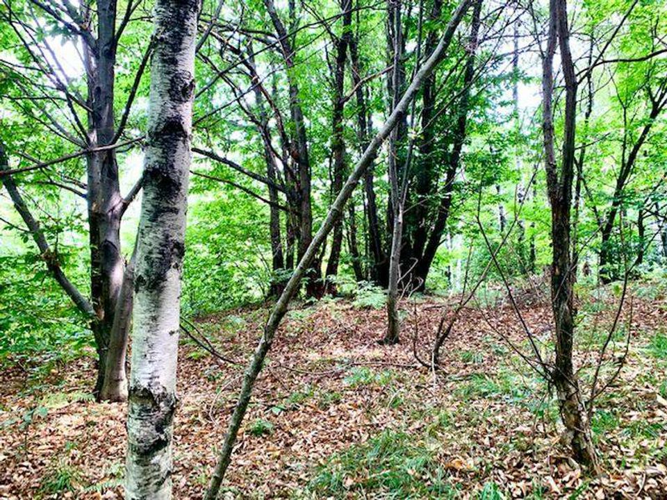 Helårsgrund i Brovello-Carpugnino, Verbano Cusio Ossola - foto 5