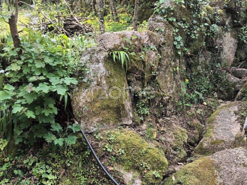 Helårsgrund i Vieira do Minho, Braga - foto 4