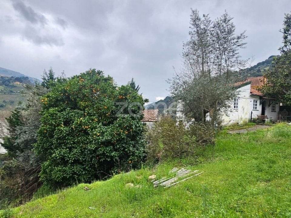 Landejendom i Barqueiros, Vila Real - foto 4