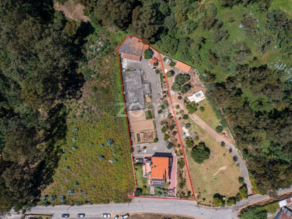 Villa i Grijo, Porto - bilde 1