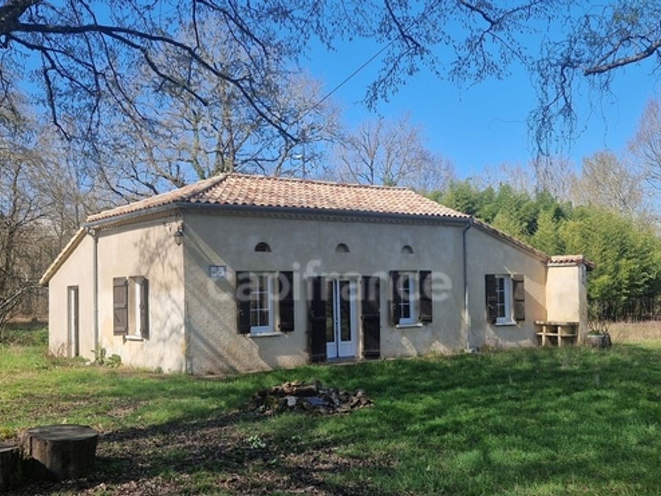 Villa i Escalans, Landes - foto 2