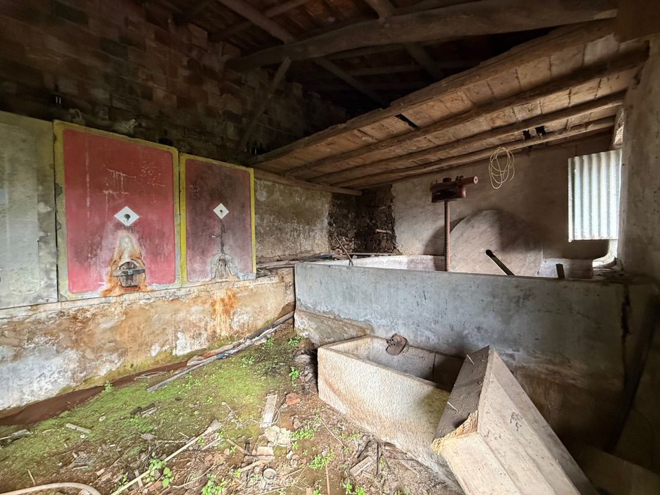 Villa i Rio Maior, Santarem - foto 5