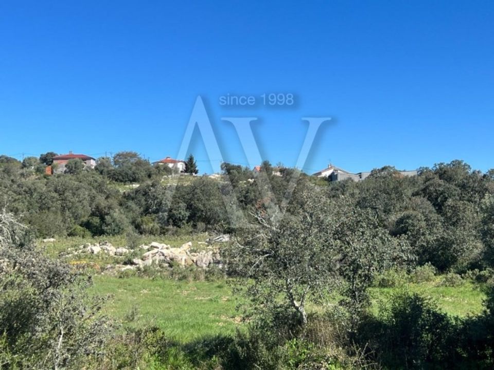 Helårsgrund i Ourem, Santarem - foto 5