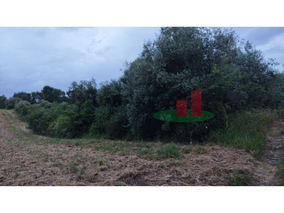 Helårsgrund i Asseiceira, Santarem - foto 1