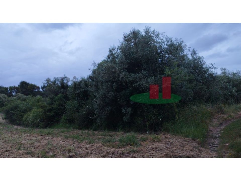 Helårsgrund i Asseiceira, Santarem - foto 2