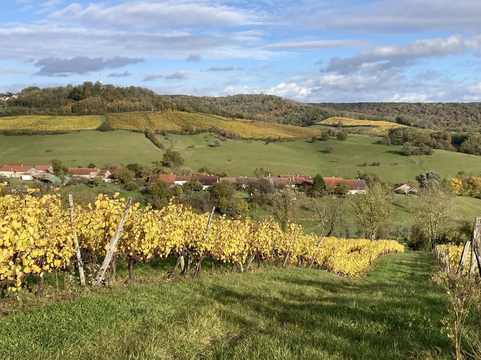 Villa i Coiffy-le-Haut, Haute-Marne - foto 4