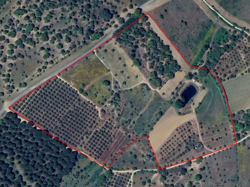Farm i Sardoal, Santarem - foto 1
