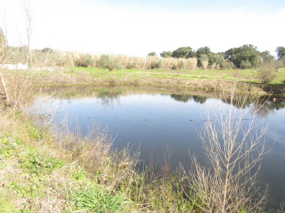 Farm i Sardoal, Santarem - foto 2