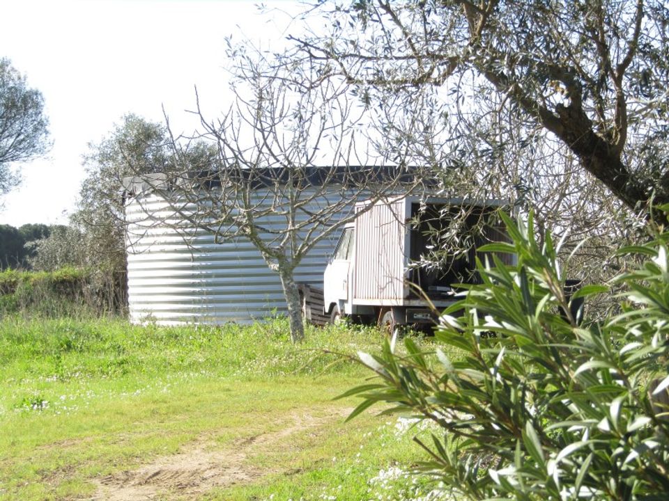 Farm i Sardoal, Santarem - foto 4