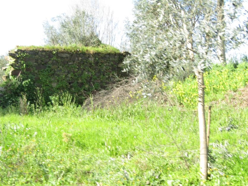 Farm i Sardoal, Santarem - foto 5
