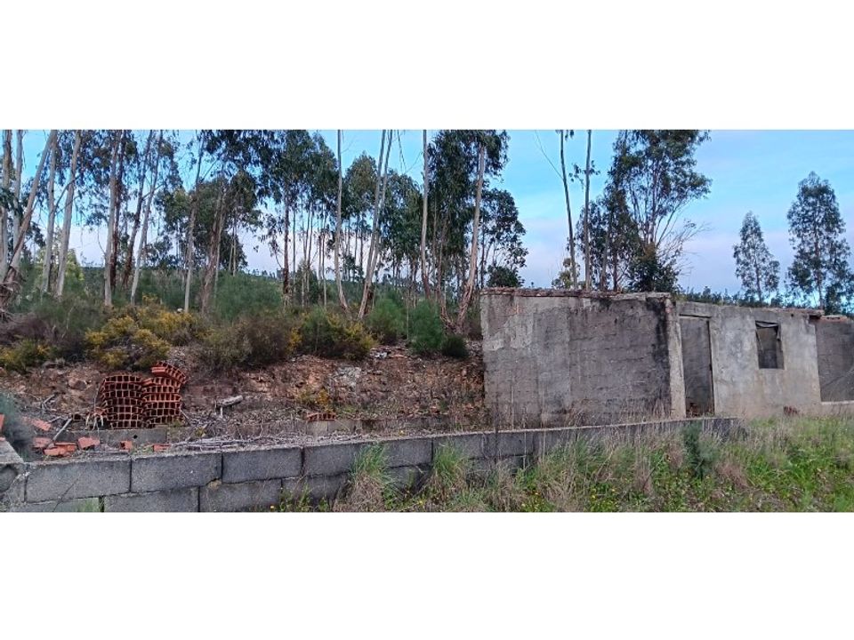 Helårsgrund i Macao, Santarem - foto 2