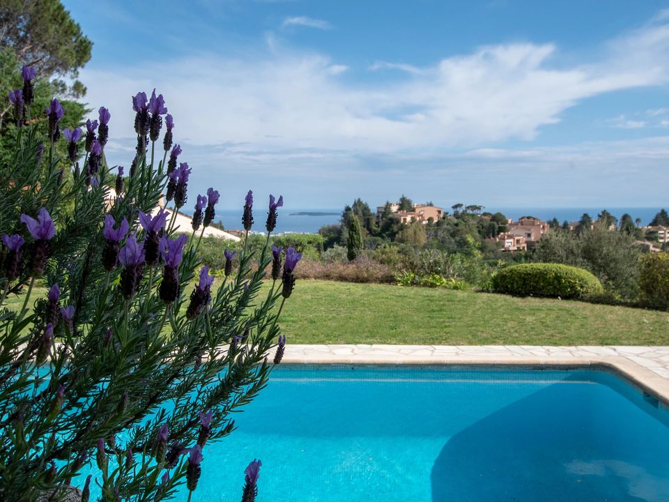 Villa i Mandelieu-la-Napoule, Alpes-Maritimes - foto 3