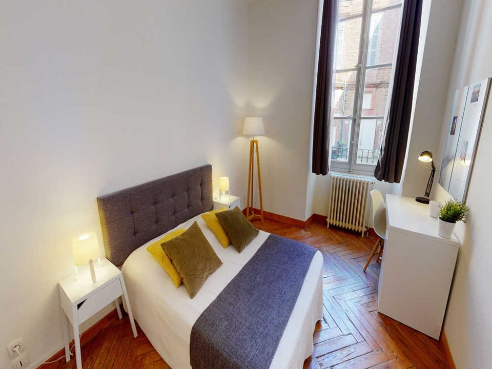 Apartment in Toulouse, Haute-Garonne - photo 1