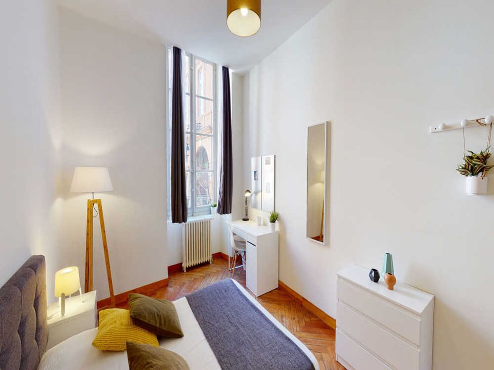 Apartment in Toulouse, Haute-Garonne - photo 4