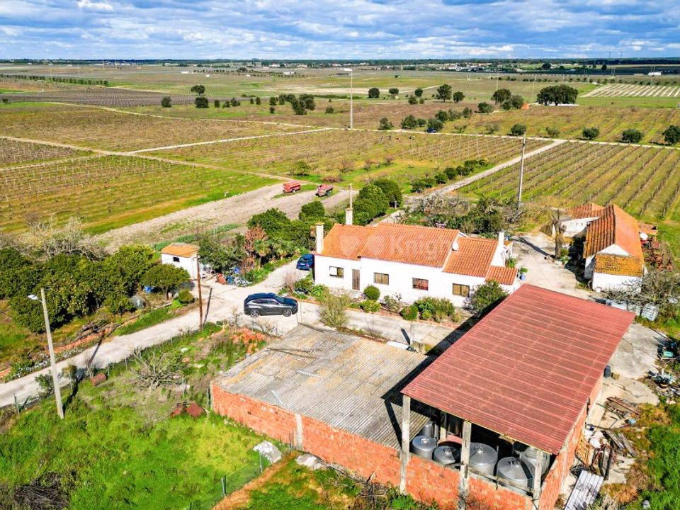 Farm i Palmela, Setubal - foto 1